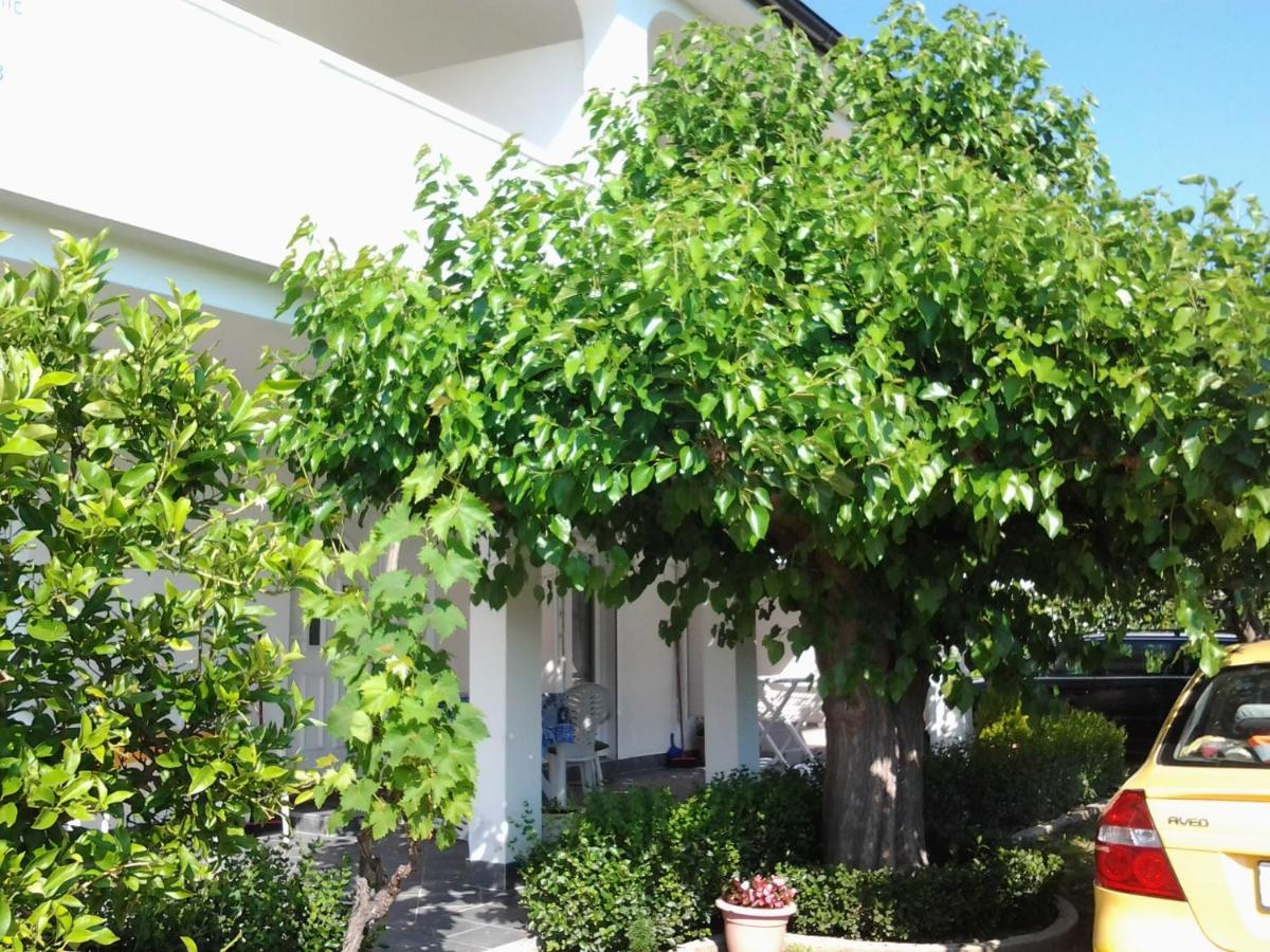 Holiday S&M - Bed and Breakfast Lopar