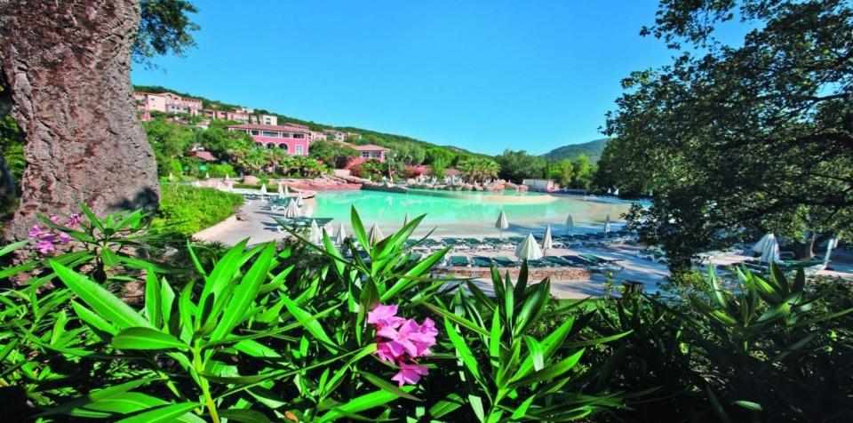 Les Restanques du golfe de St Tropez - B&B Grimaud