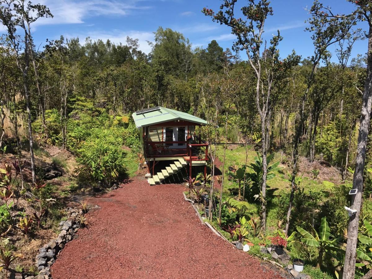 Volcano Eco Cabin & Eco Lodge - B&B Volcano