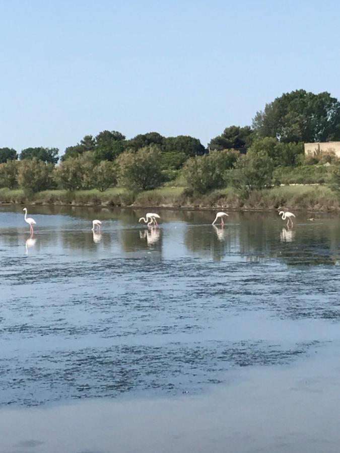 Quietovivere - B&B Lido di Spina