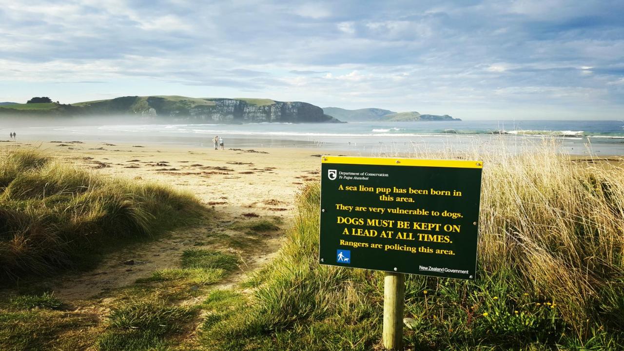 Kaka Point Spa Accommodation - Catlins - B&B Kaka Point