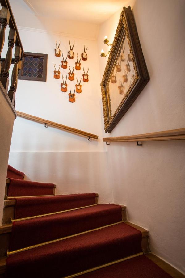 Pension PREMIUM - B&B Český Krumlov