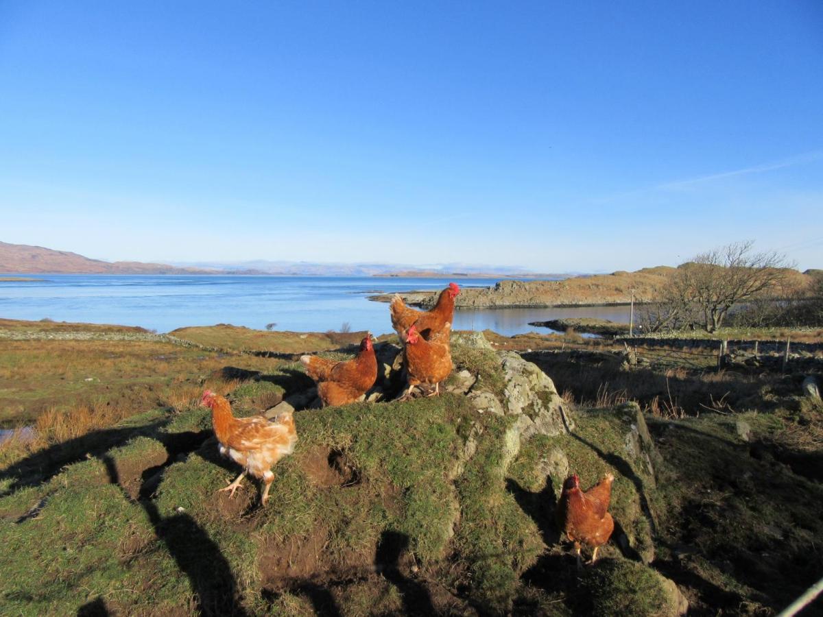 Aird Farm Holiday Cottages - B&B Ardfern