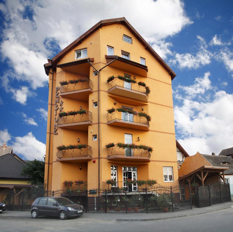 Pensiunea Amso - B&B