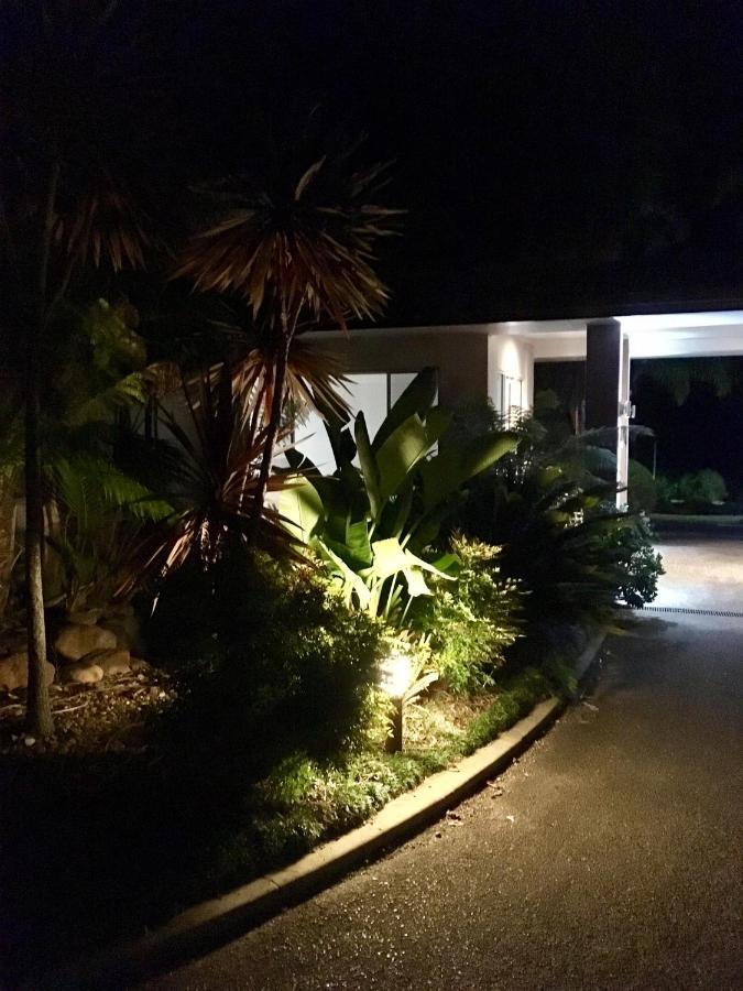 Broad green leaves lit by a ground light stand at dog-friendly Fairway Motor Inn in Pambula.