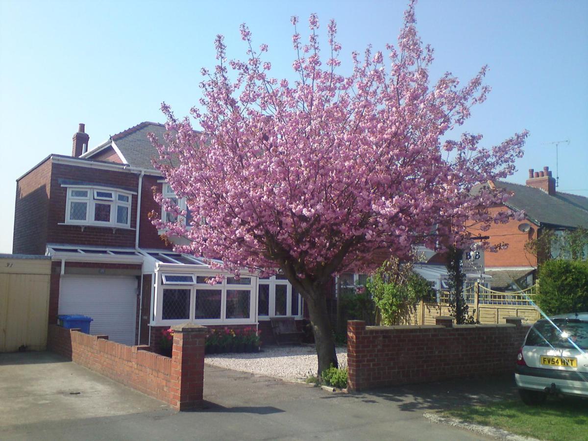 B&B Whitby - Cherry Blossom Guest House - Bed and Breakfast Whitby