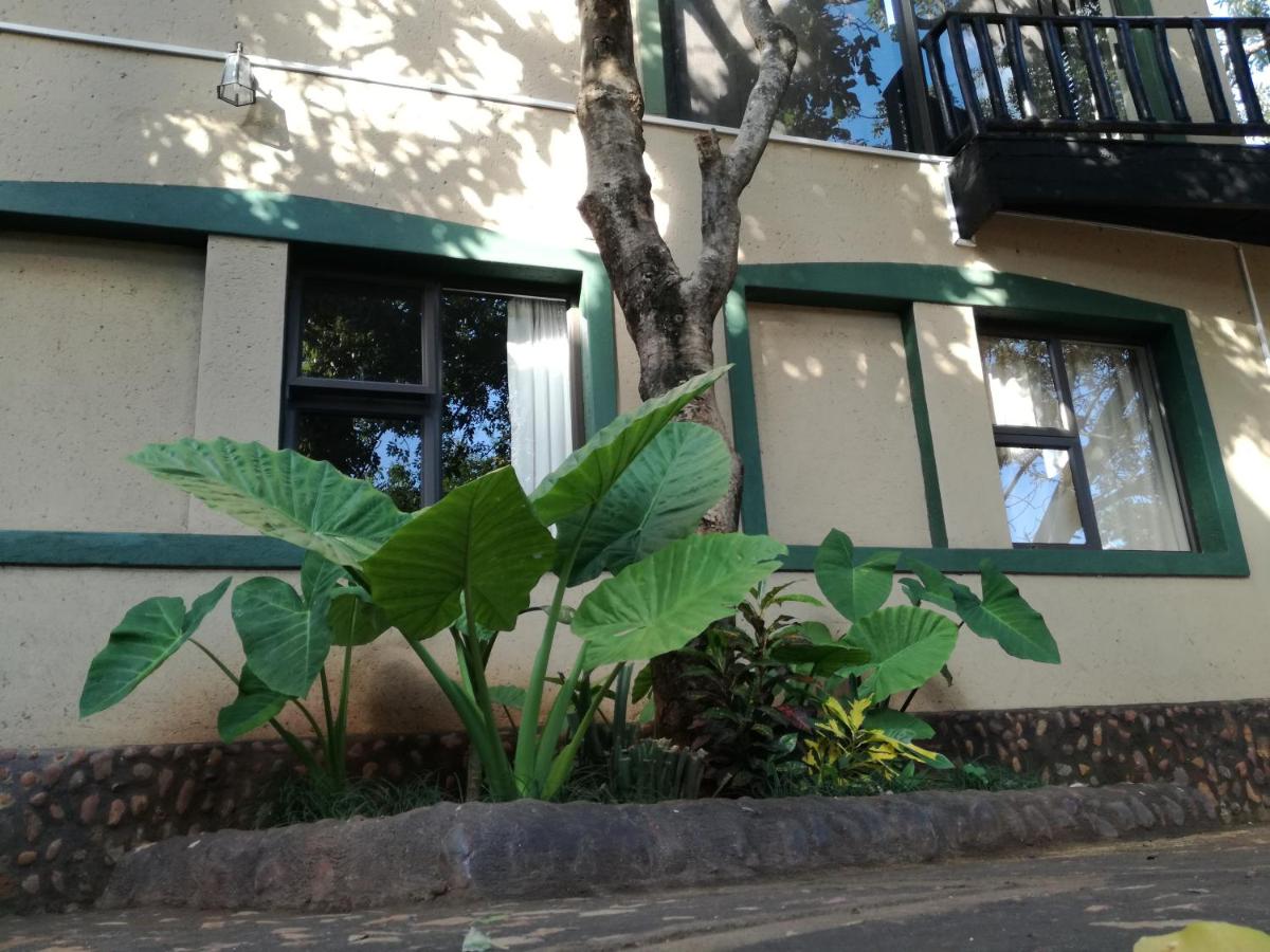 Boomhuisie - B&B Komatipoort