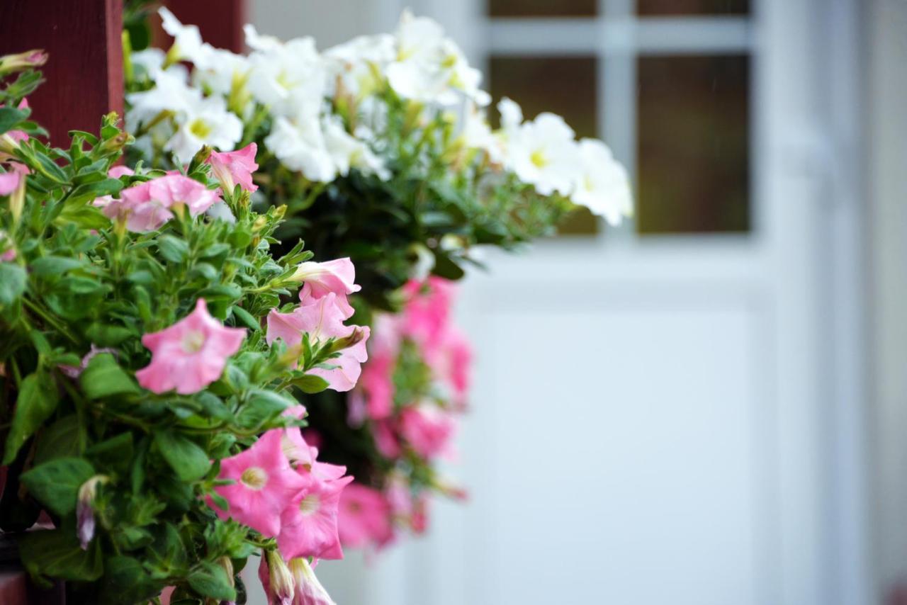 Joana - Bed and Breakfast Nida