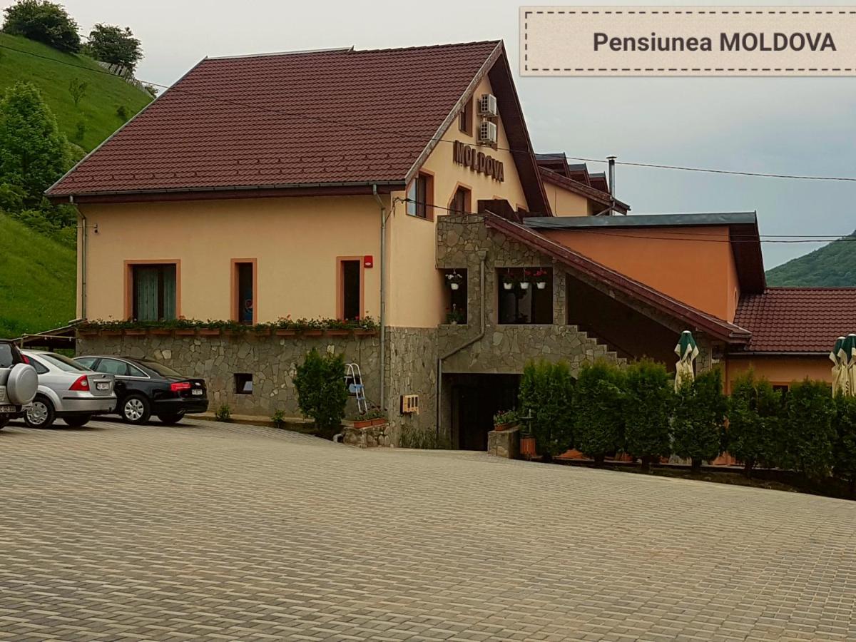 Pensiunea Moldova - B&B Piatra Neamţ