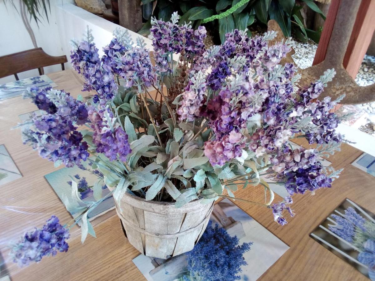 Apartman Nadia - B&B Mali Lošinj