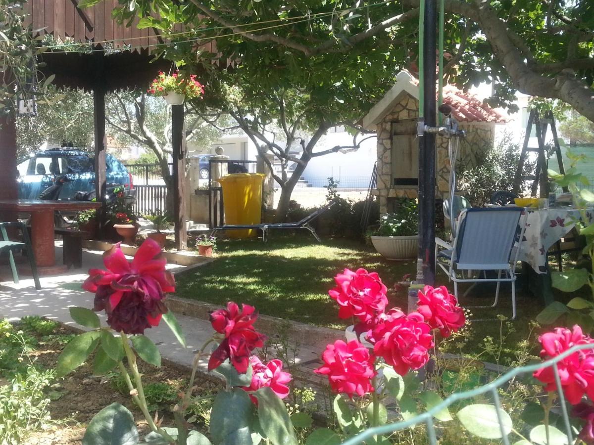 Aenona Sunny Apartment - B&B Vrsi