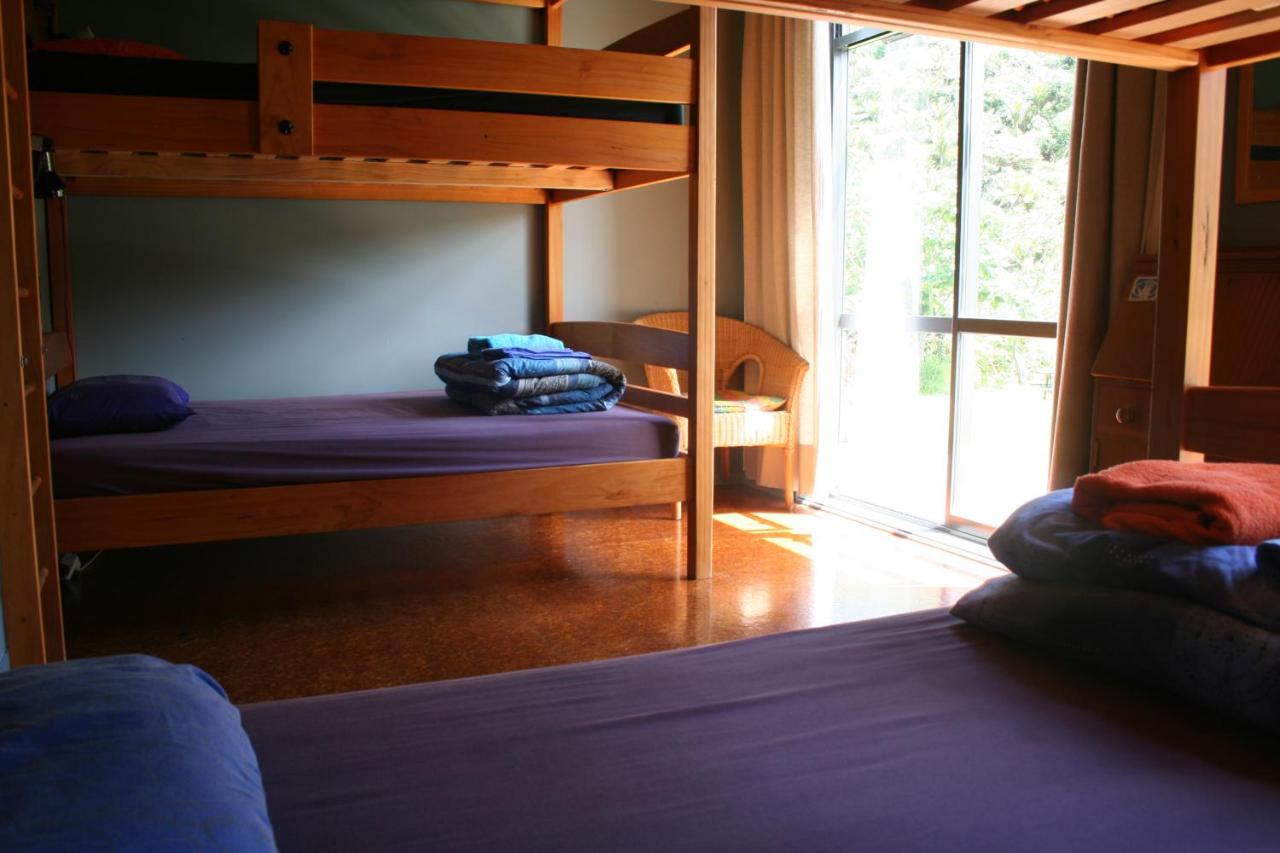 Bed in 6-Bed Mixed Dormitory Room