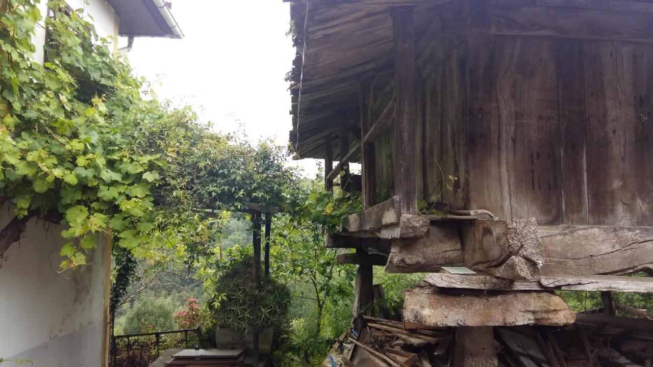 El Requexu de Cervera - Bed and Breakfast