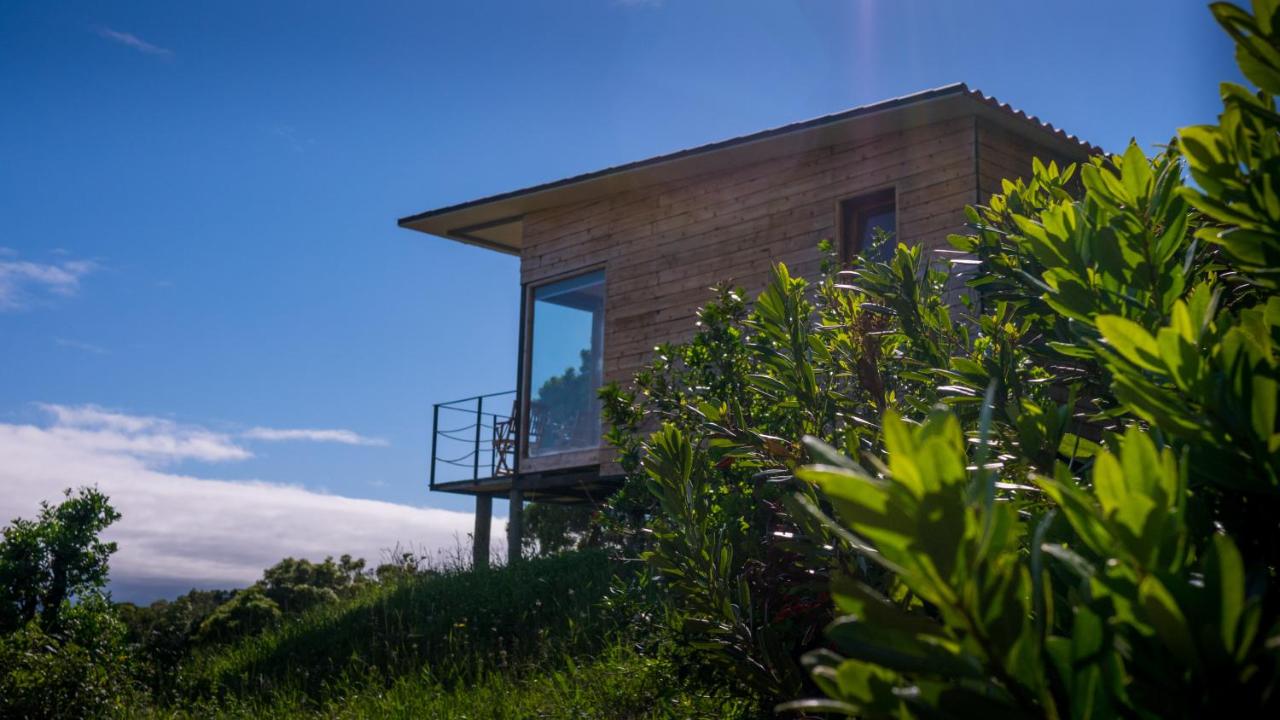Intact Farm Resort - B&B
