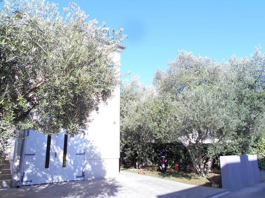 Apartments Doda - B&B Zara