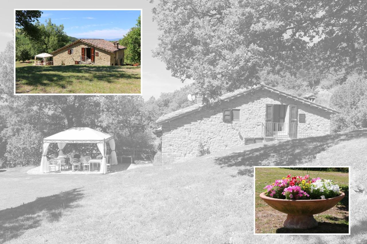 Le Querce di Campolungo - B&B