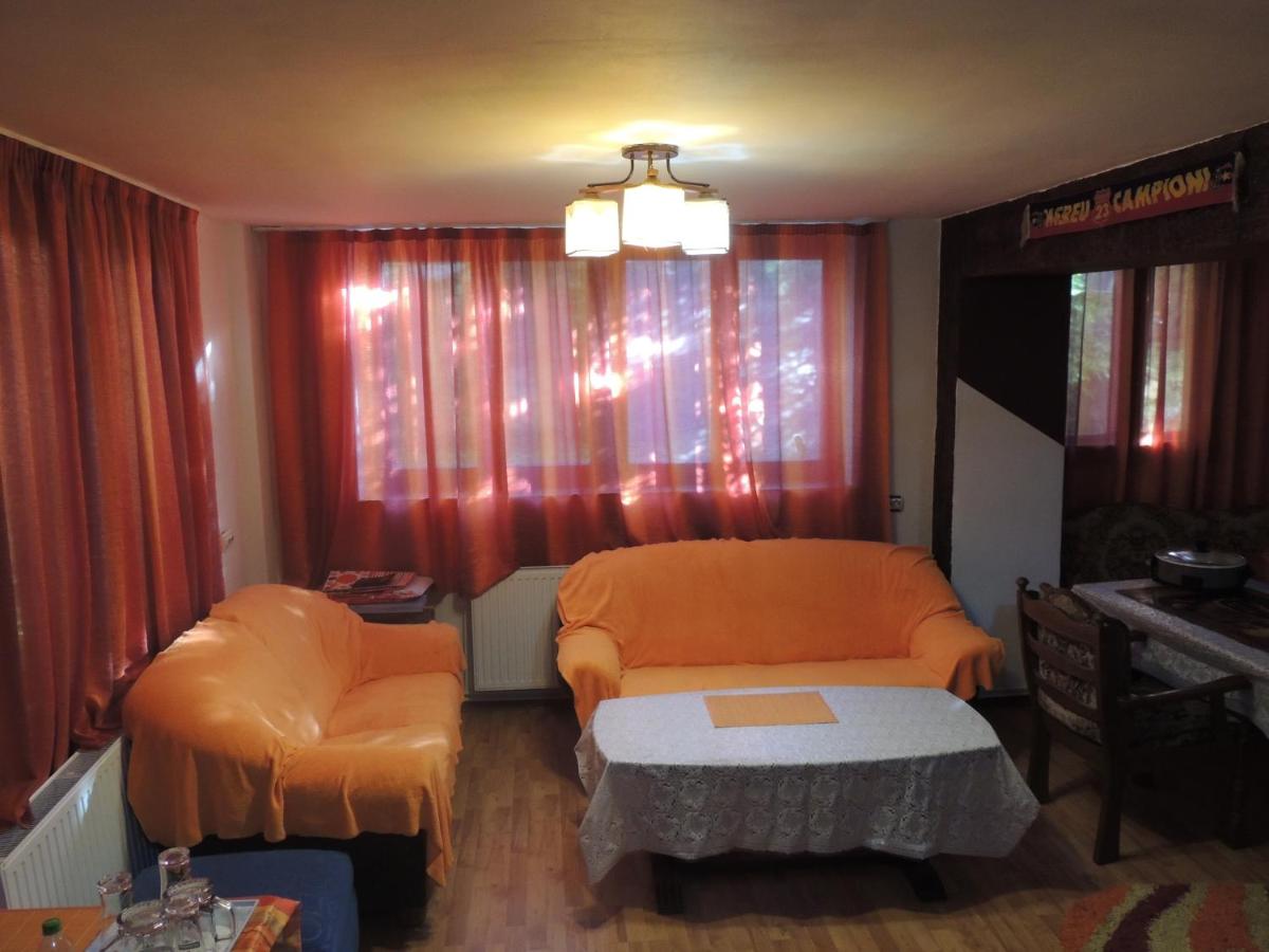 Pensiunea Steaua Nordului - B&B Vânători