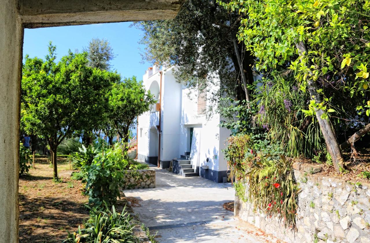 Villa Beatrice - B&B Sorrento