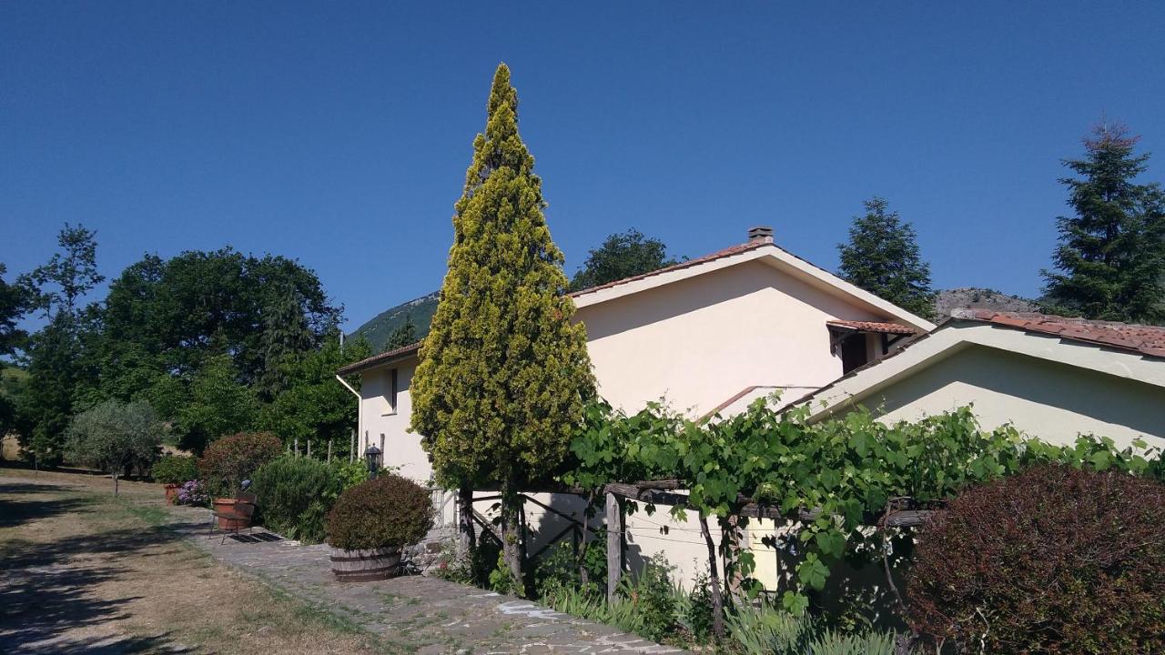 Agriturismo Collevento - Ferienwohnung Trecchina