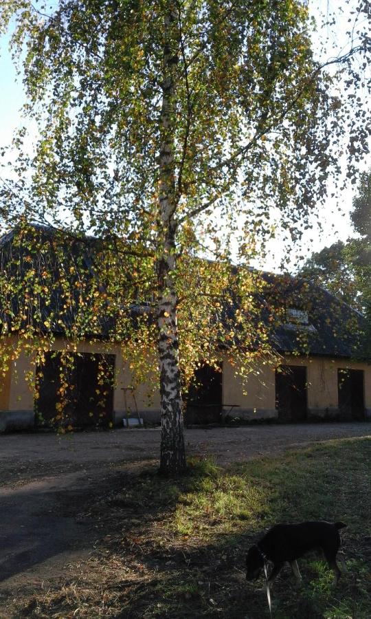 Hommik House - Bed and Breakfast Otepää