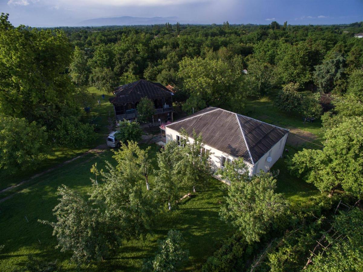 Beautiful Georgia Guesthouse - B&B