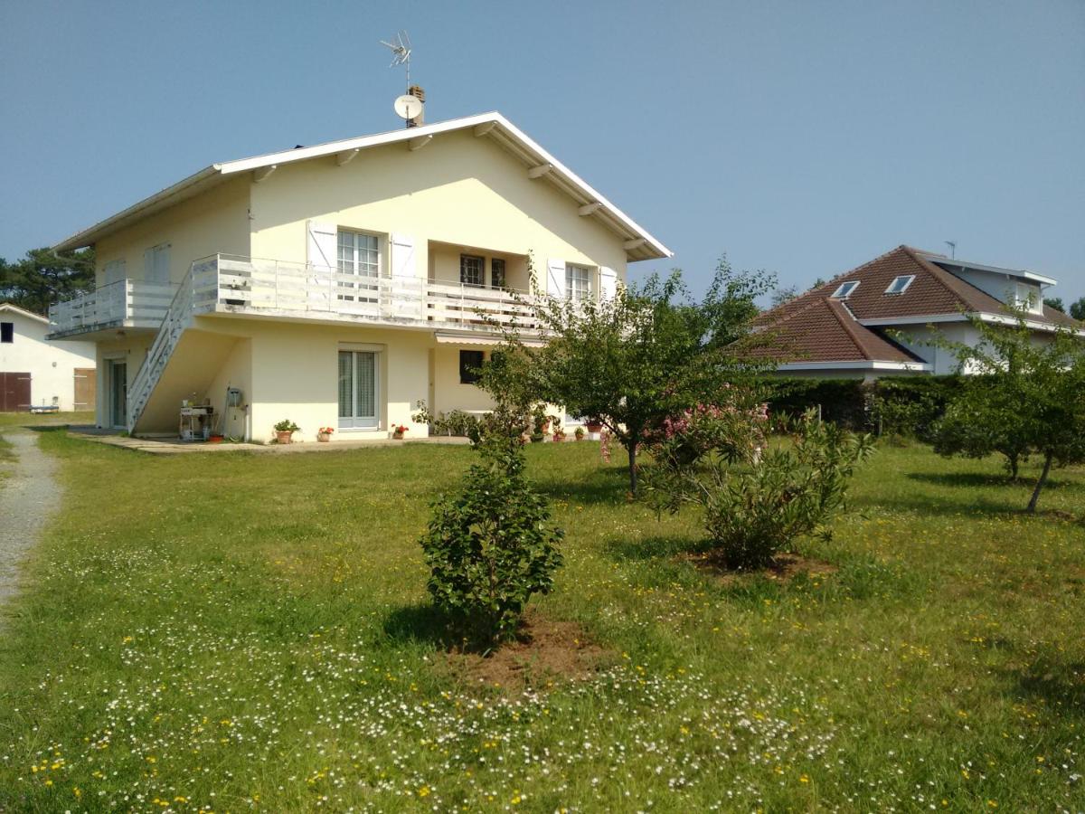 Côte Landaise - B&B Labenne