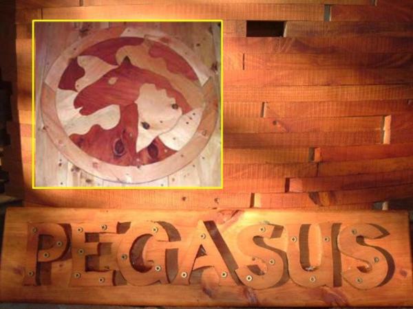 Pegasus Treehouse