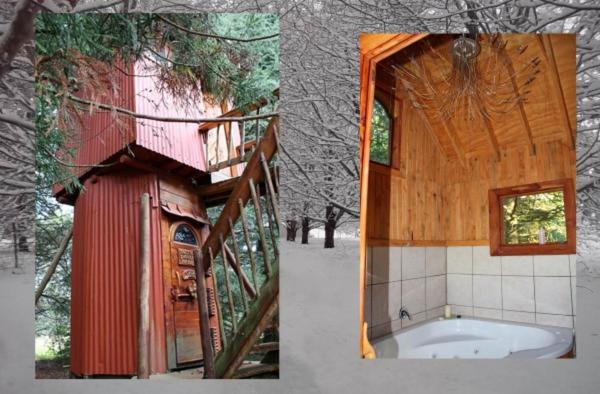 Planequarium Treehouse