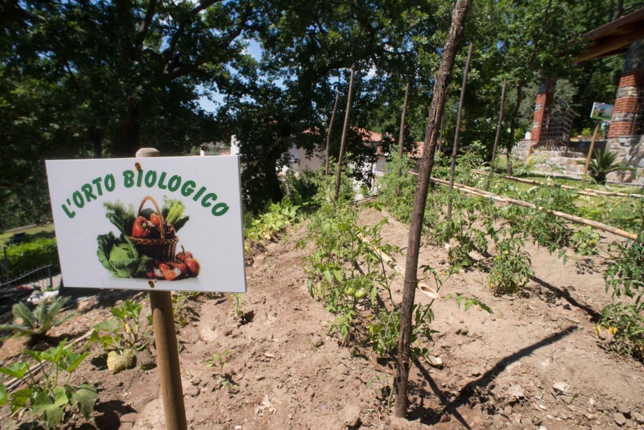 Appartamento con Vista Mare