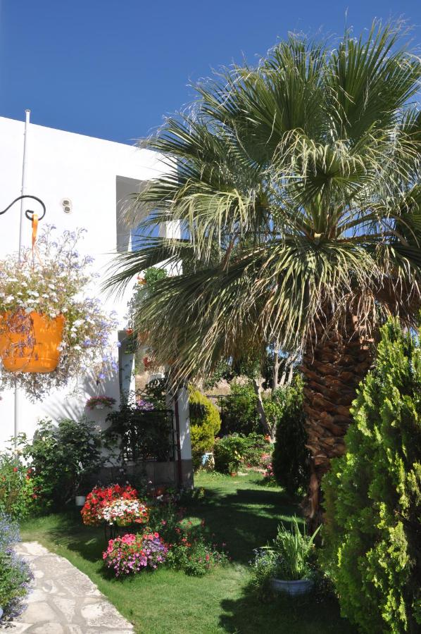 Korfes Apartments - B&B Kamilari