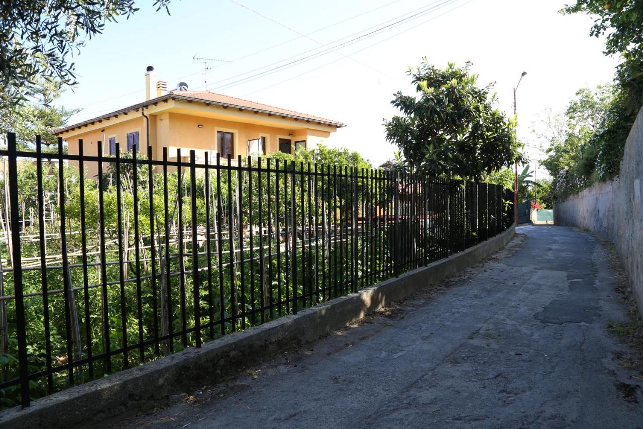 Solandra Affittacamere - Ferienwohnung Tropea