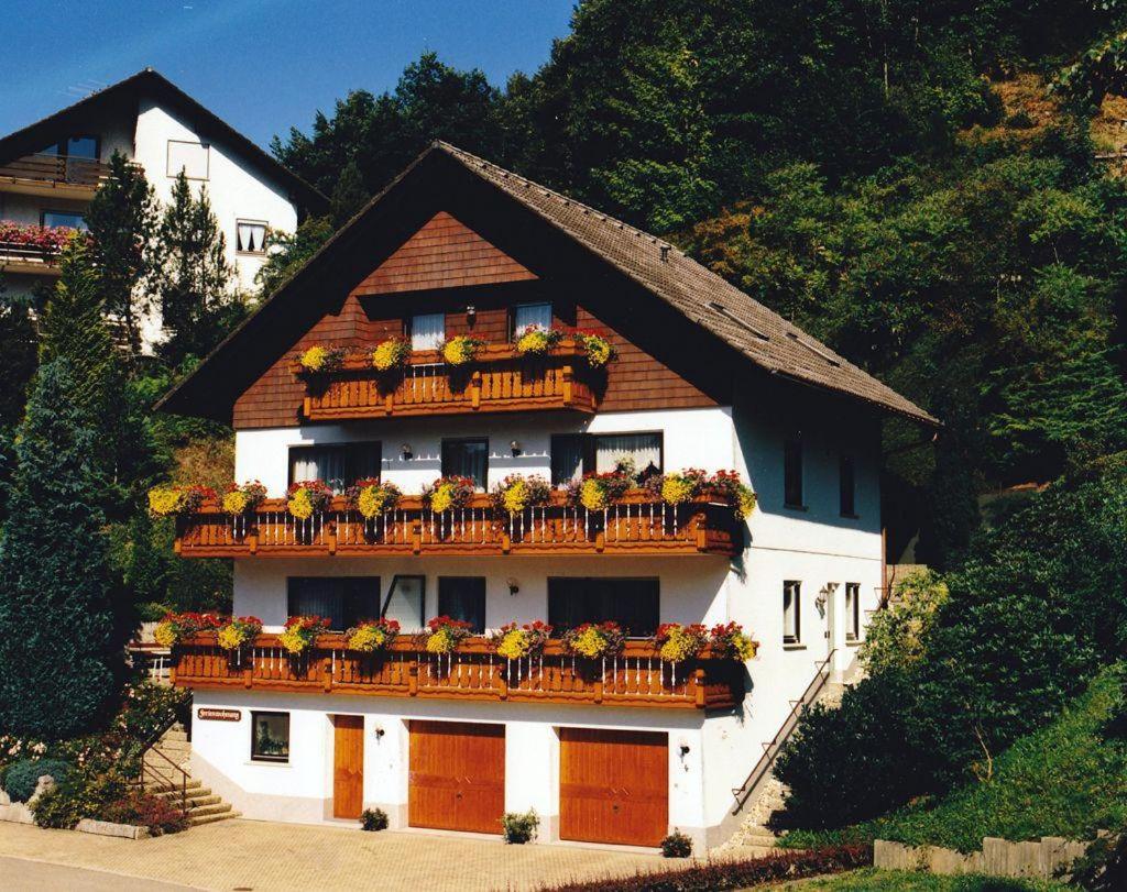 B&B Bad Rippoldsau-Schapbach - Haus Margot Armbruster - Bed and Breakfast Bad Rippoldsau-Schapbach