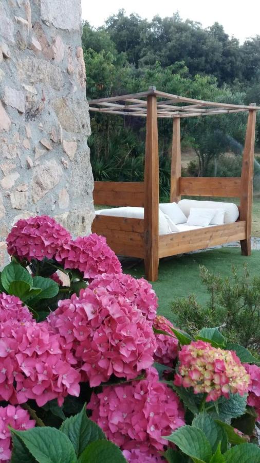 El Solei Paraiso en el Montseny - B&B