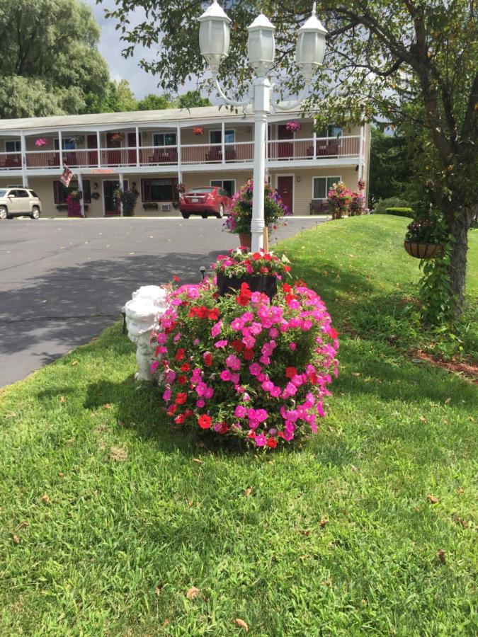 Cozy Corner Motel - Bed and Breakfast