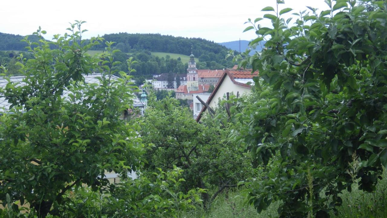 Ubytování u Dolanských - B&B