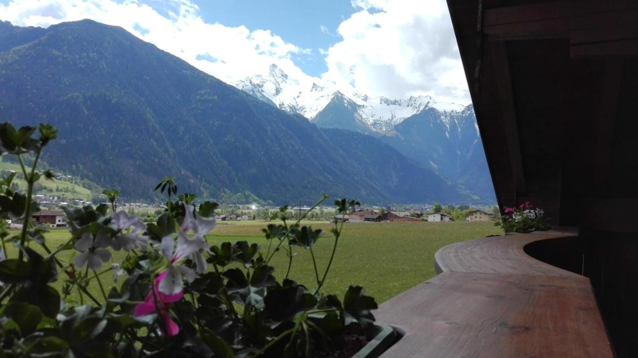 Apartment with Mountain View