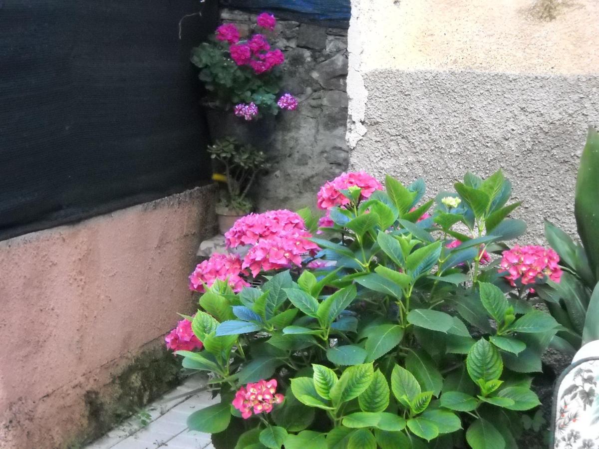 Stella Marina delle 5 Terre - Ferienwohnung Levanto