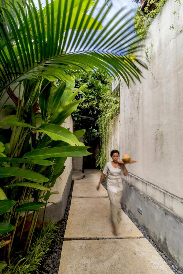 Mayana Villas - B&B Canggu