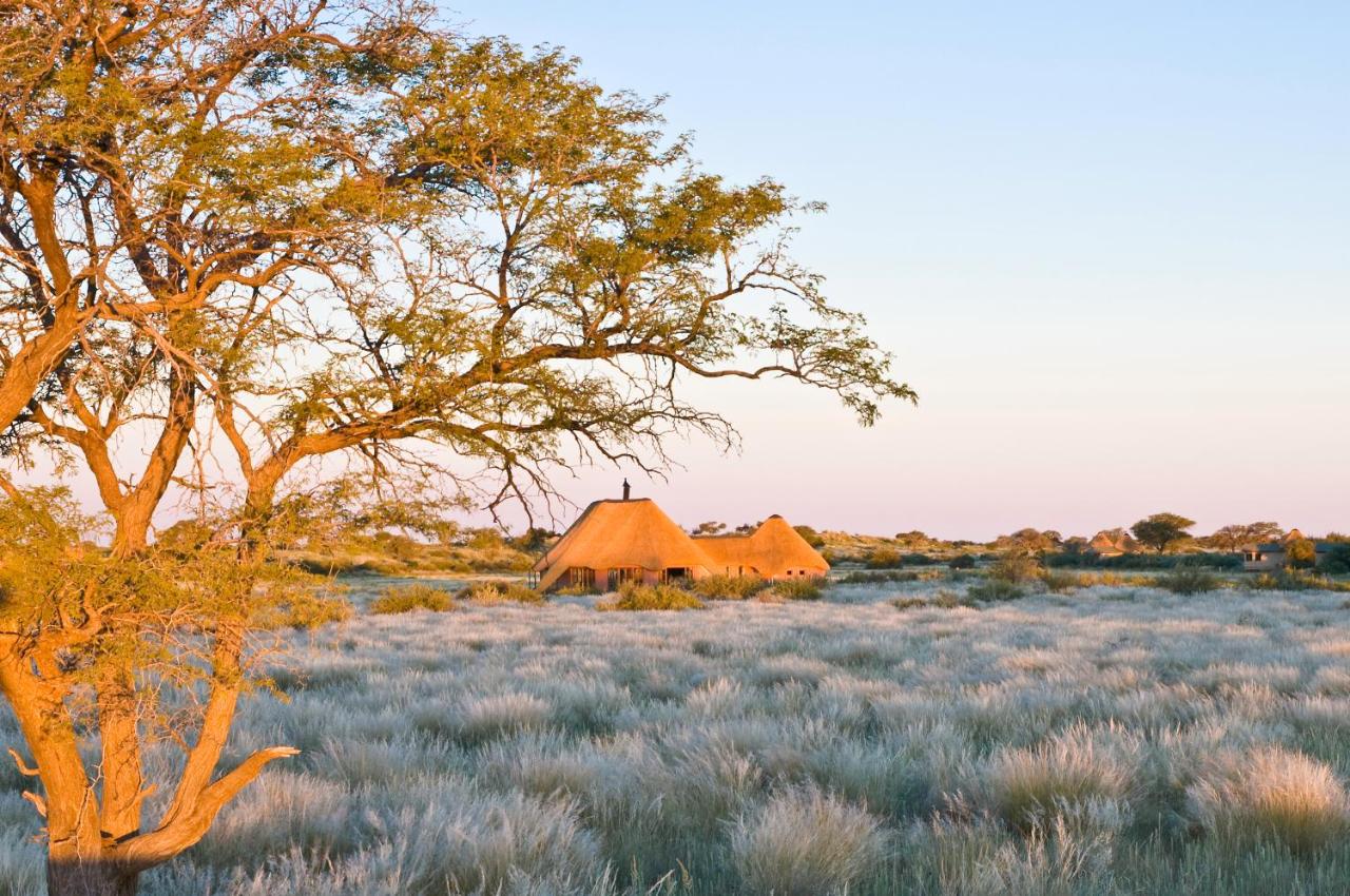 Kalahari Red Dunes Lodge - Ferienwohnung