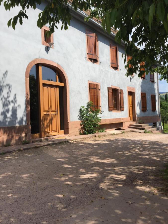 Gîte Le Vieux Ruisseau Sauna et Massages - Bed and Breakfast
