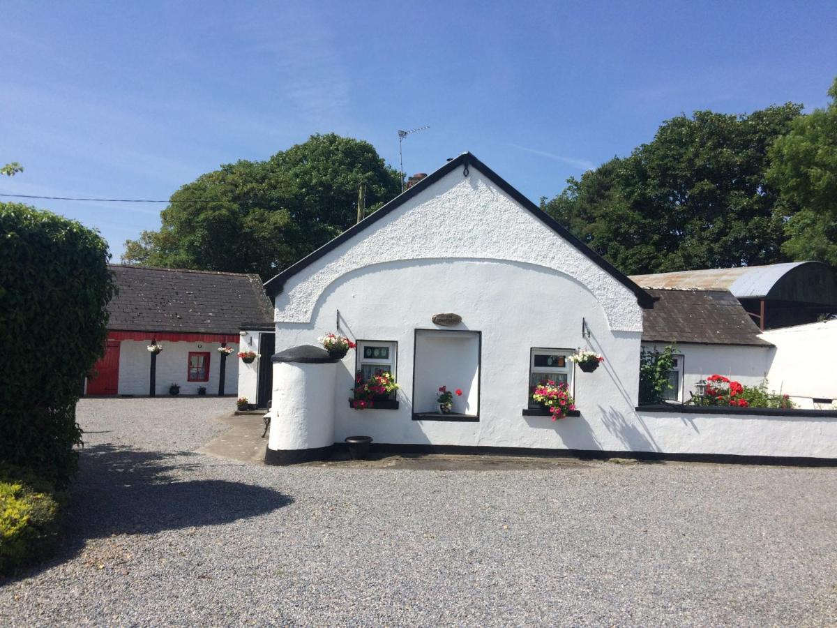 B&B Ballycrossaun - Shannon Breeze Cottage - Bed and Breakfast Ballycrossaun