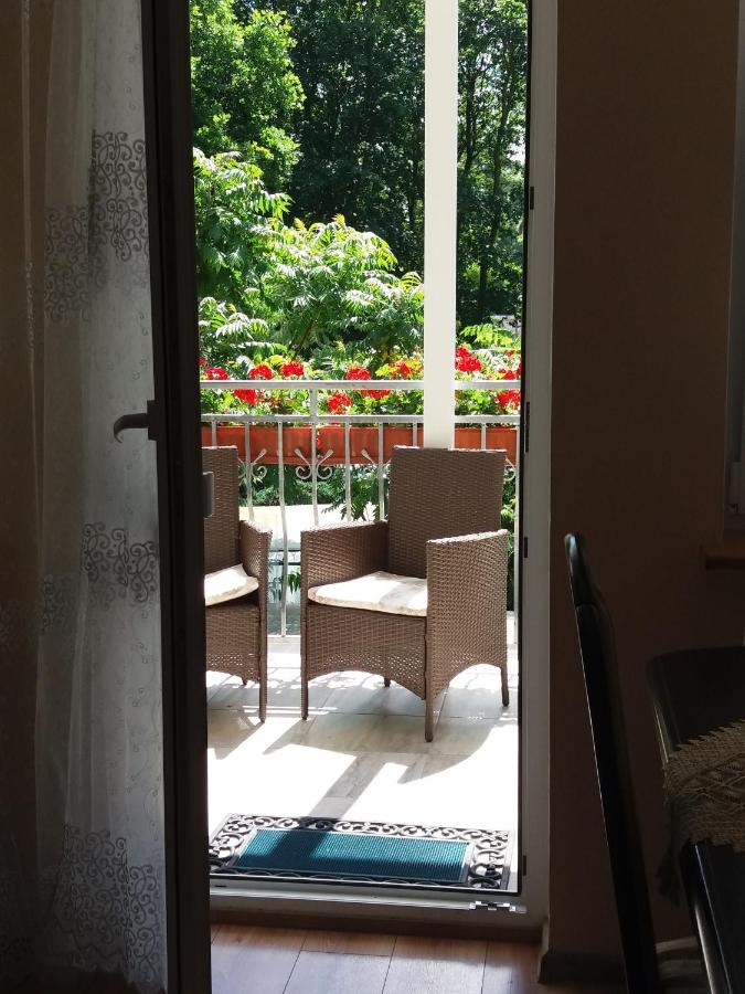 Junior Suite con Terrazza