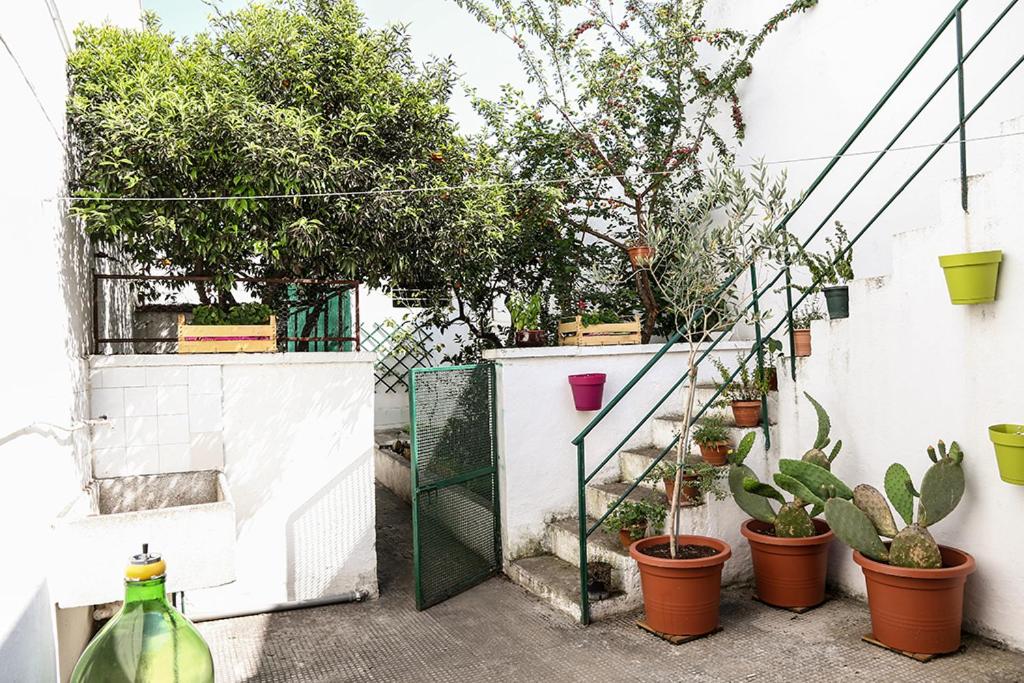 Le Volte di Lo Re - Ferienwohnung