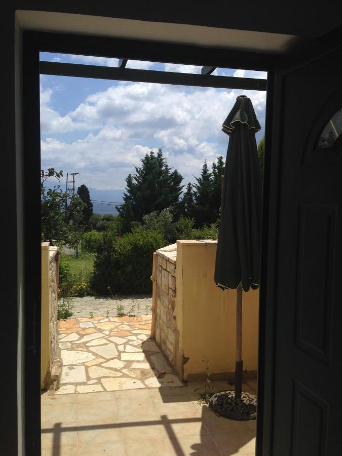 Apartment - Erdgeschoss