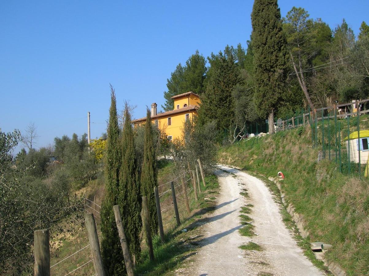Poggio delle Capre - Ferienwohnung
