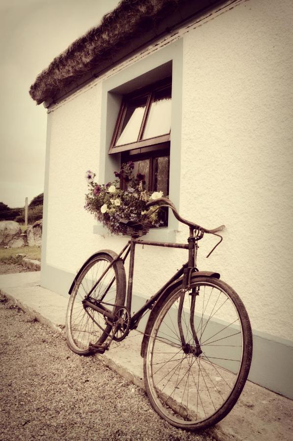Biddys Cottage - B&B