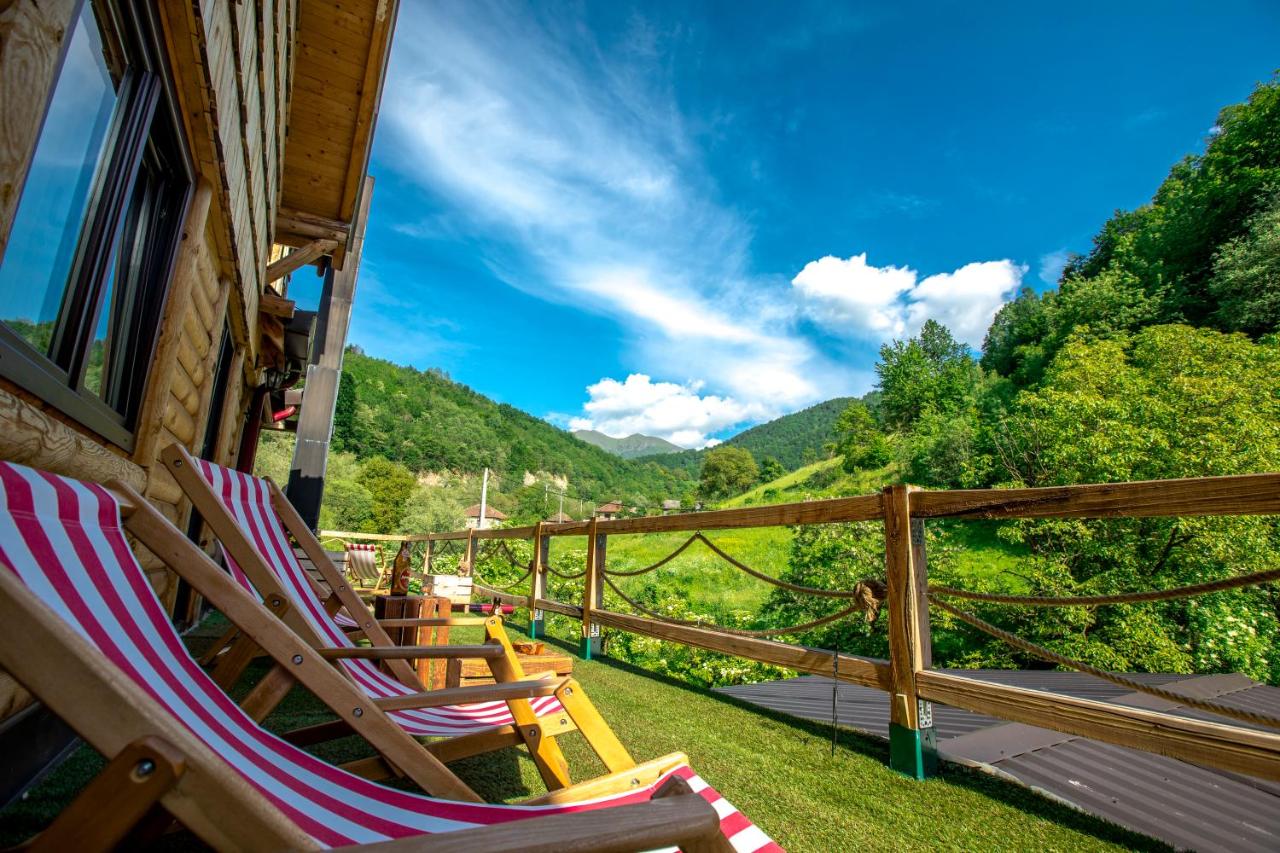 Apartment with Garden View - Bigar