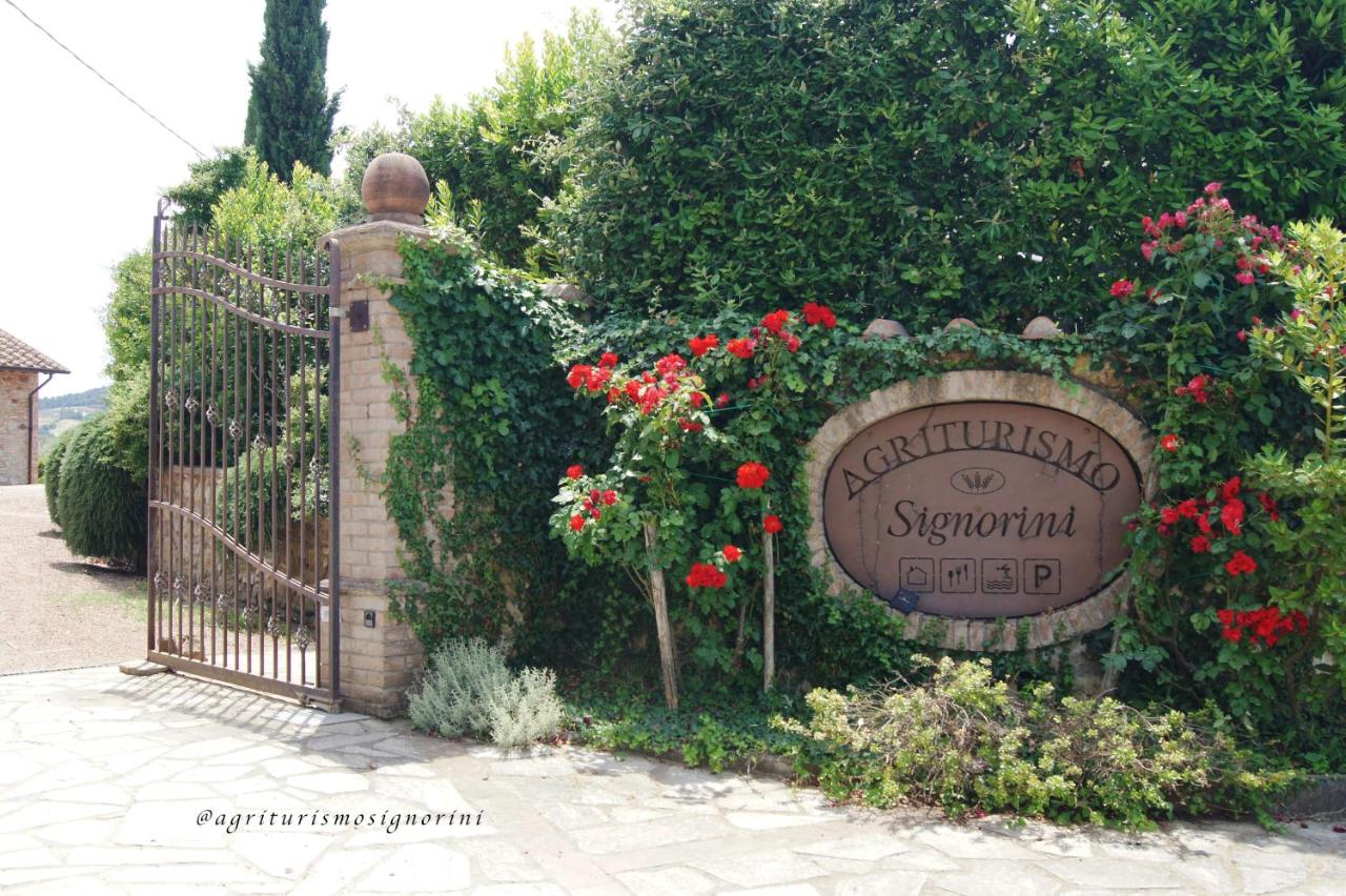 Agriturismo Signorini - B&B