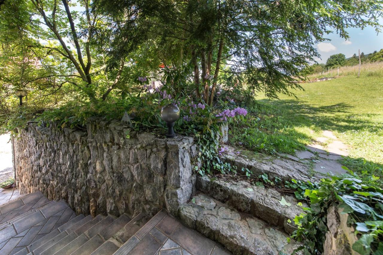 Apartments Jaka - B&B Dolenjske Toplice