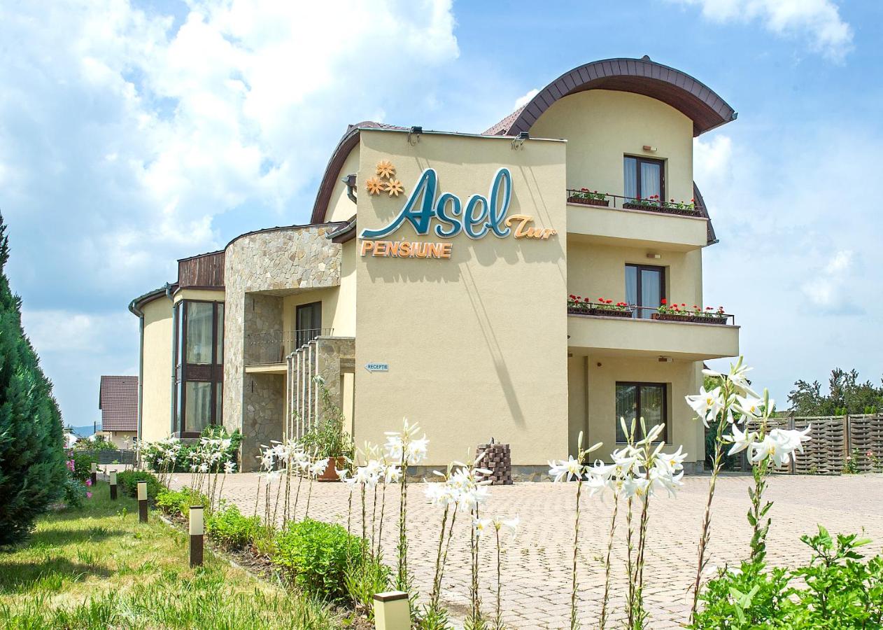 AselTur Brasov - B&B